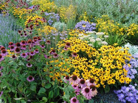 Perennial Garden Design: Tips For Growing Perennial Flower Gardens