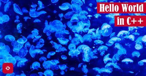 Hello World Using C 的图像结果