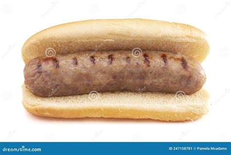 Grilled Bratwurst in a Hotdog Bun on a White Background Stock Image ...