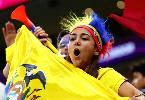 Al Khor :World Cup opening match