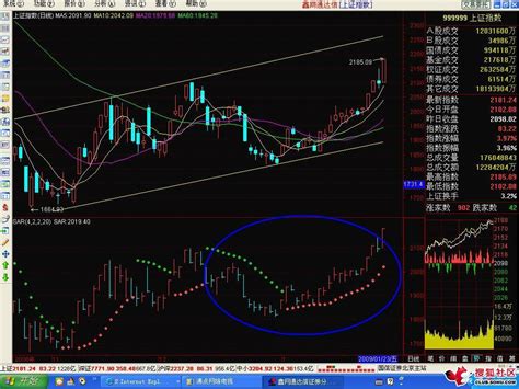 SAR指标入门及应用(图解)_天才股票网