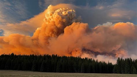 Video shows fire cloud forming from Grand Canyon wildfire