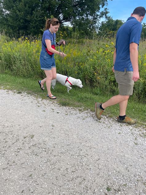 5 Dog Walking Tips for a Better Dog Walk - Milwaukee Paws Pet Care