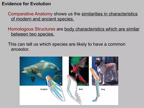 Life Science Evolution 的图像结果