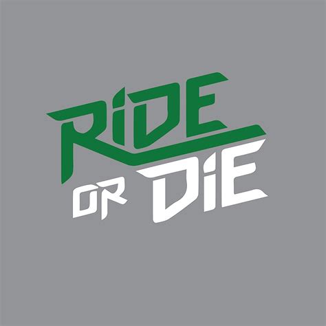 ISEE 360® Race Or Ride Tvs Apache RTR 160 180 4v Sticker Kit and ...