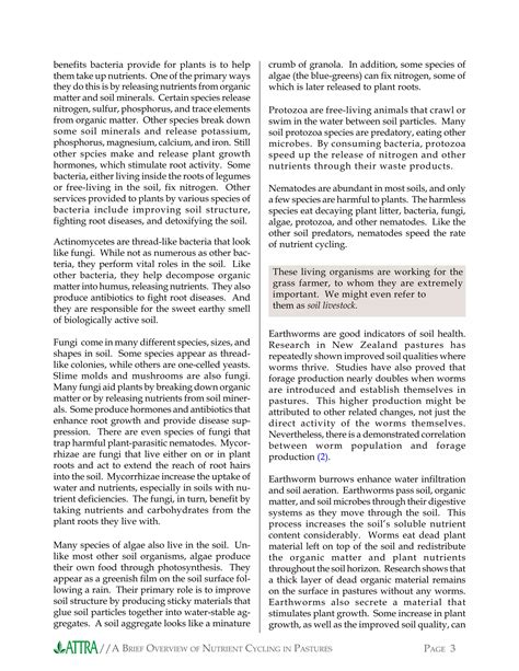 A Brief Overview of Nutrient Cycling in Pastures | PDF