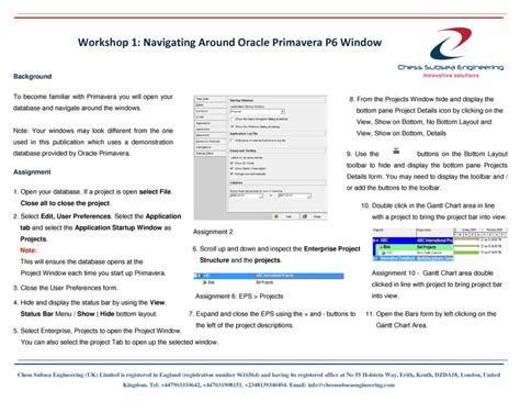 Image result for Oracle Primavera P6 Opening Window