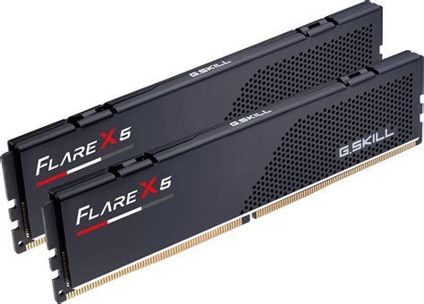 G.Skill Flare X5 F5-6000J3238F16GX2-FX5 DDR5 32 GB 6000 MHz Memory ...