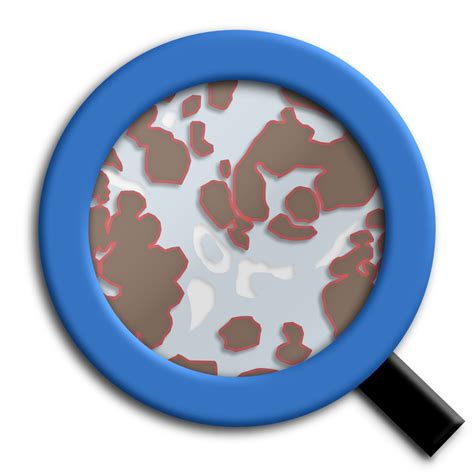 Image result for QuPath Basics