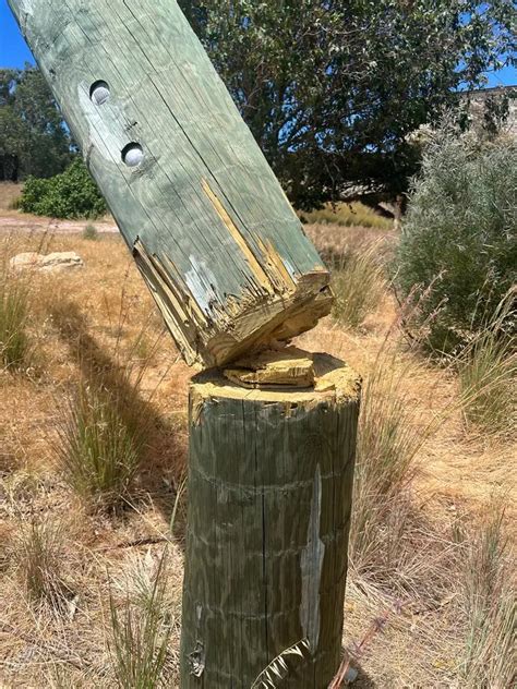 Image result for Power Pole Replacement