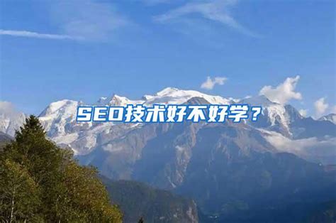 seo行业是什么样行业(seo好不好) - 知乎