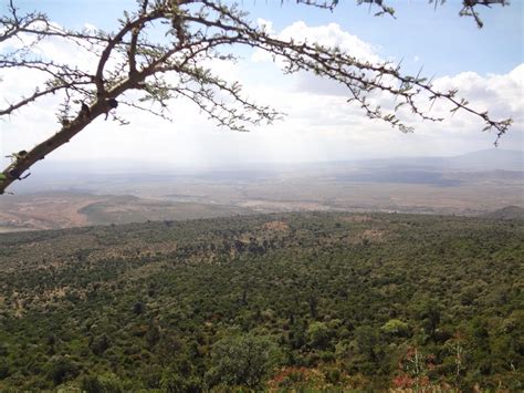 Fish Farming Methods 的图像结果