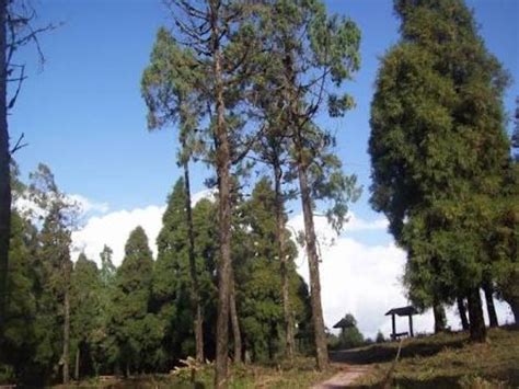 Lolegaon Tourism (2026) India - Best Places to Visit in Lolegaon ...