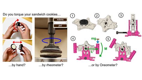 ¿Cómo girar una galleta rellena de crema? Equipo del MIT da la clave ...