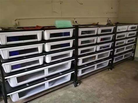 Image result for PVC Snake Enclosure