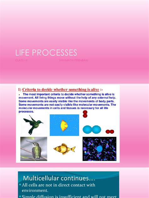 Image result for Class 9 Life Process Introduction