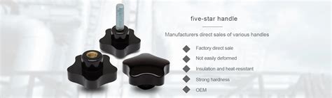 Company Overview - Shenzhou Chunxiao Machinery Fittings Co., Ltd.