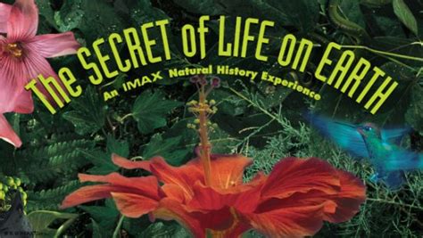 Image result for IMAX Documentary Films