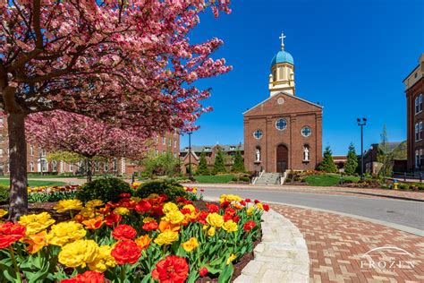 University of Dayton Chapel of the Immaculate Conception #2
