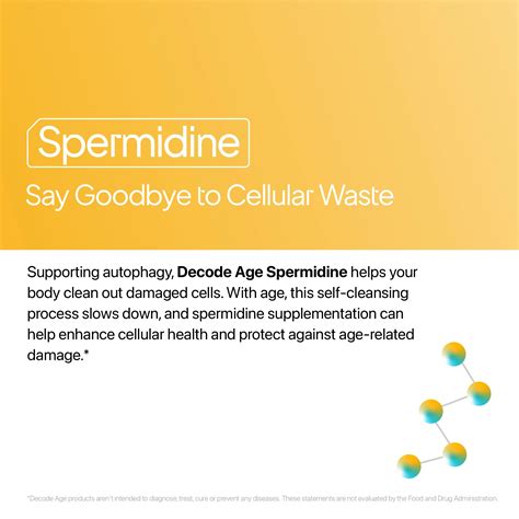 Spermidine Supplement for Autophagy & Healthy Ageing