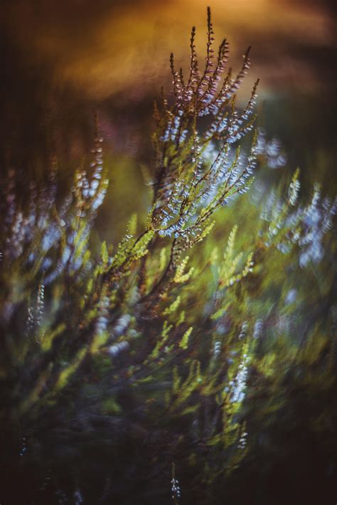 Techy Background 的图像结果