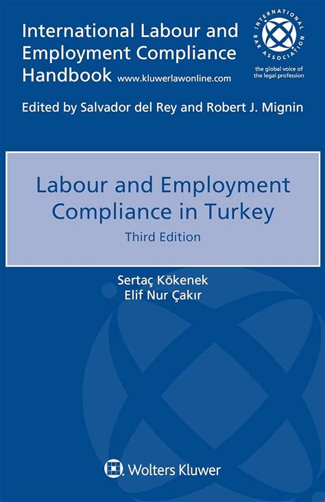Buy Labour and Employment Compliance in Turkey (International Labour ...