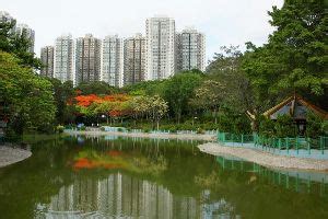 12 Best things to do in Tuen Mun - Top Interesting Activities To Do ...