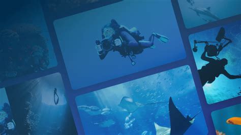 Image result for Pic Editing