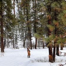 Herd composition surveys, winter feeding, and more news!