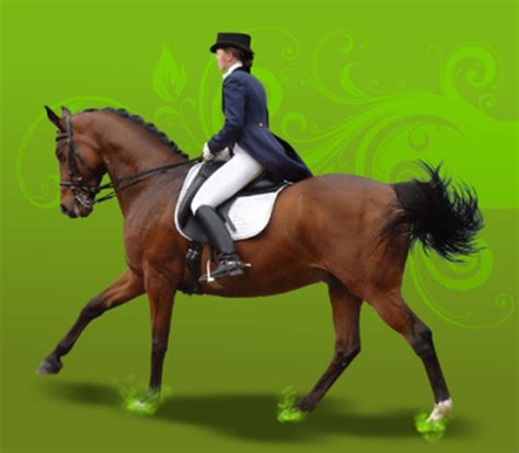 Image result for GIMP TJ Free Tutorials