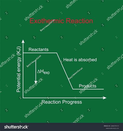 Exothermic Reaction