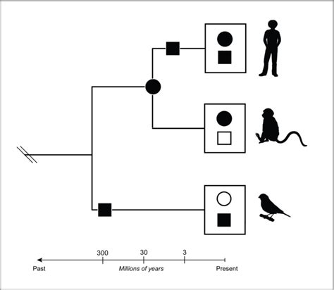 Image result for Comparative Approach