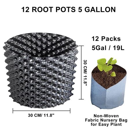 What are the Top 5 Air Pod Root Pots?