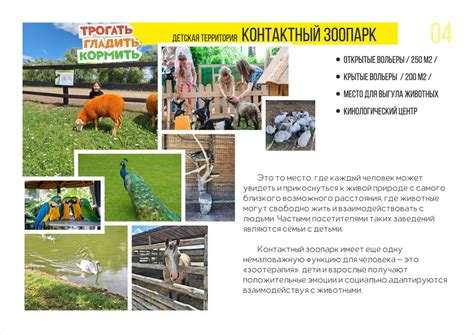 Туристско-рекреационный комплекс "Мультипарк" - презентация онлайн