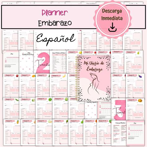 Pregnancy Planner in Spanish, Pregnancy Printable, Digital Pregnancy ...