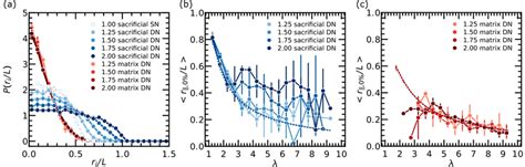 Image result for Chain Stretch Comparison