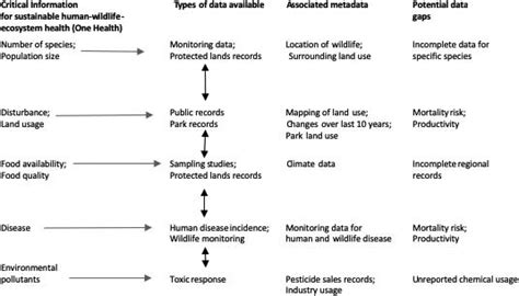Critical Information 的图像结果