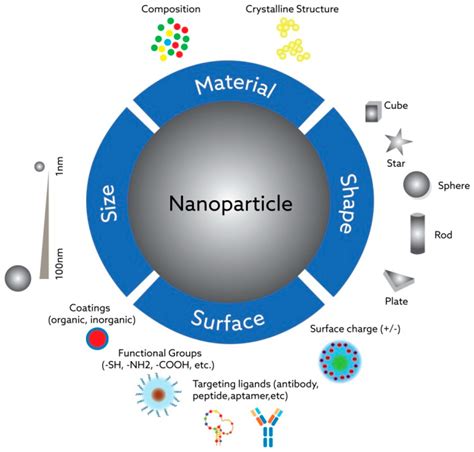 Overview of Physicochemical Properties of Nanoparticles as Drug ...