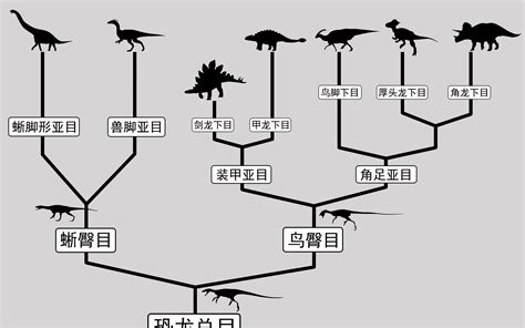 真·铁树开花丨战胜恐龙存活至今，它的完整基因组图谱首次发布 – 肽度TIMEDOO