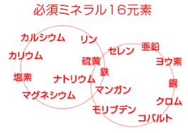 Image result for Assignmnnt Python Class 9