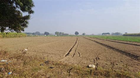 20 Acre Agricultural/Farm Land for Sale in Dasuya Road, Hoshiarpur - by ...