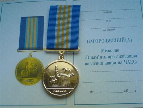 Buy Chernobyl liquidator Stalker Disaster In memory of the liquidation ...