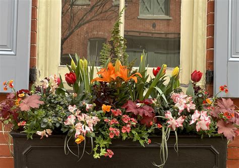 Artificial Window Box Arrangements at Clifford Zak blog