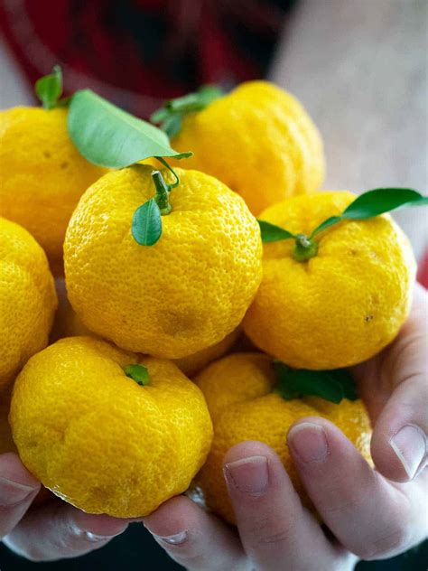 What is Yuzu and how to use it - Belly Rumbles