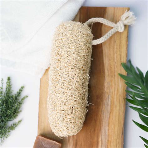 Buy Natural Vegetable Loofah Body Scrubber (Pack of 3) Online | The ...