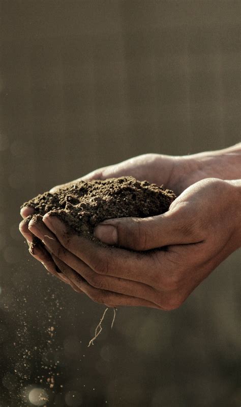 Creating Compost 的图像结果