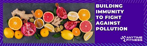 Effects Of Air Pollution on Human Health