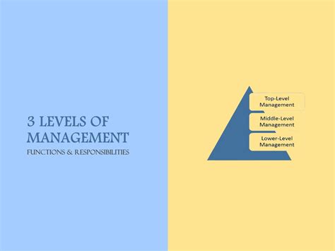 Levels of Management - Definition and Functions | Marketing Tutor