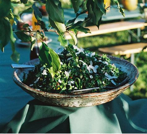 Picnic in an Olive Grove in Sicily • Wilders Kitchen x Sicels x Valmore ...