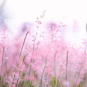 Full Moon Ceremony , 12575 W Wigwam Ave, Las Vegas, NV, Blue Diamond ...